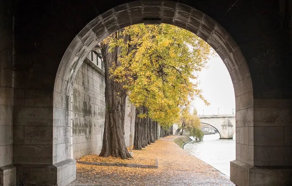 Shop Fall on The Seine Print Here