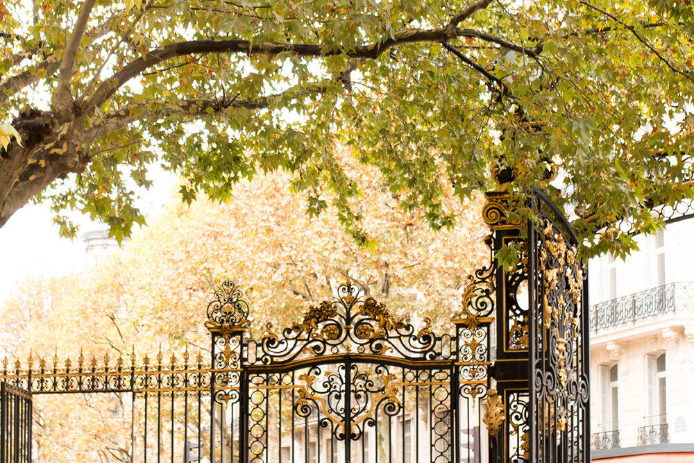 Shop Fall in Parc Monceau Print Here