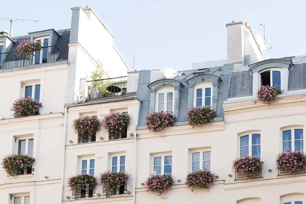 Shop Fall Floral Balcony on St Germain Print Here