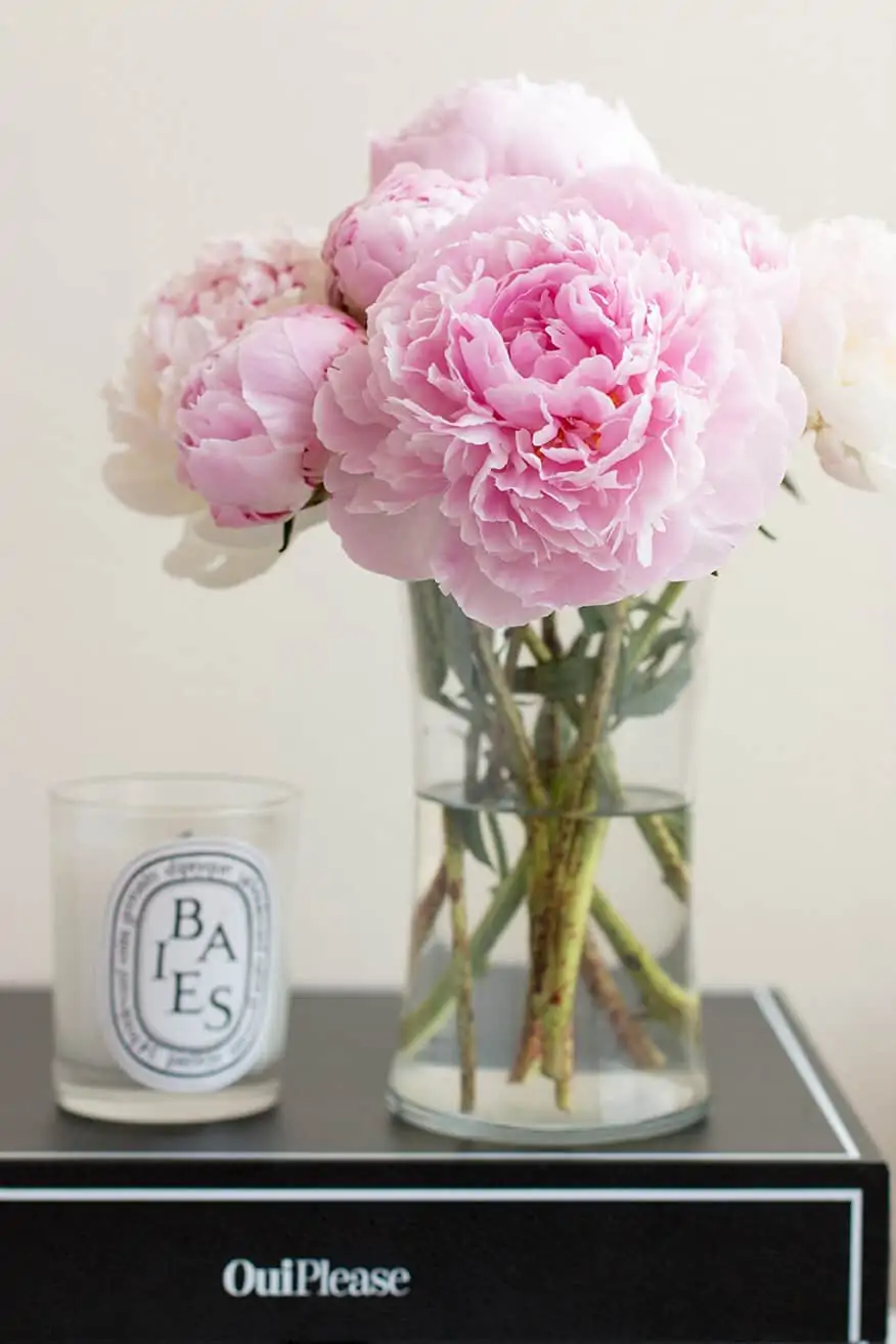 how to take care of your diptyque candles everyday parisian