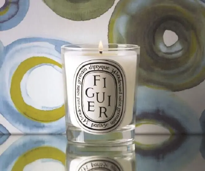 Figuier diptyque candle