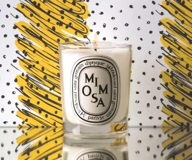 mimosa diptyque candle