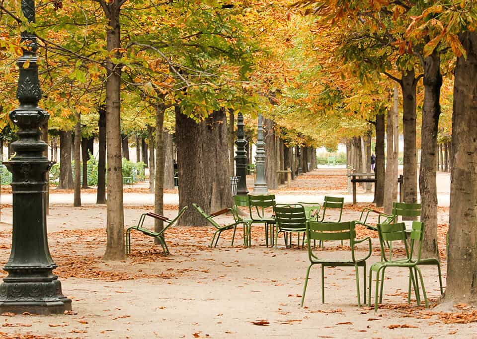 Shop Autumn Light in the Tuileries Print Here