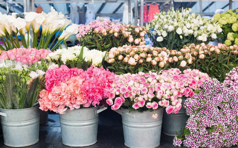 Shop Bastille Market Days Print Here
