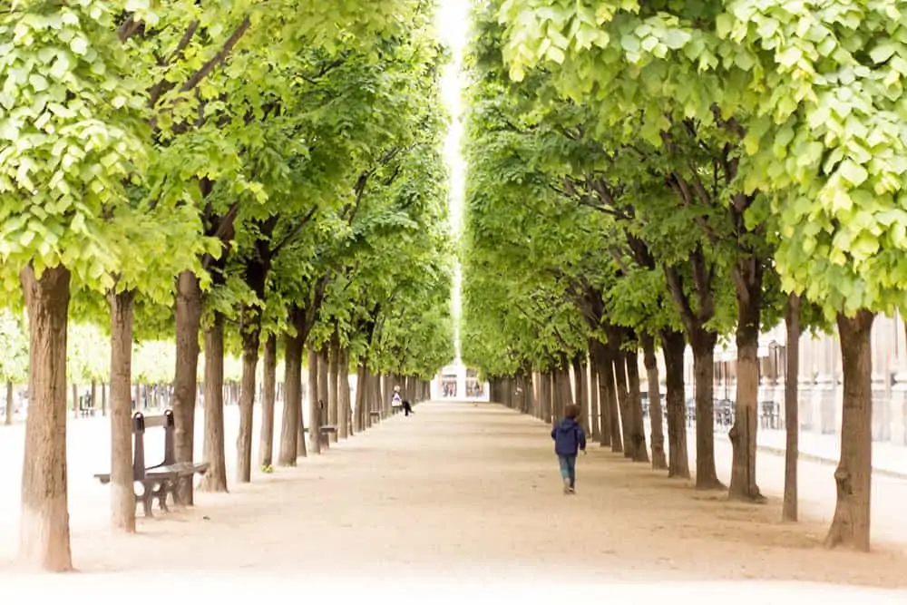 Buy Stroll Through Palais Royal Print Here