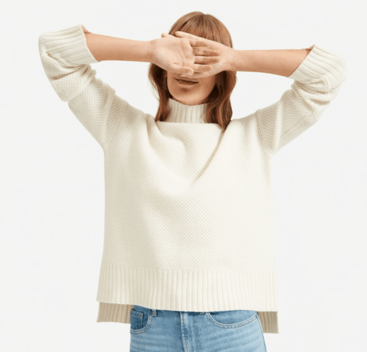 everlane cashmere sweater