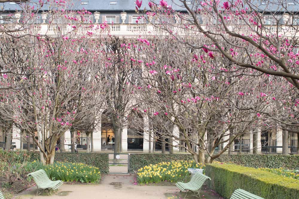 the paris diaries spring everyday parisian palais royal