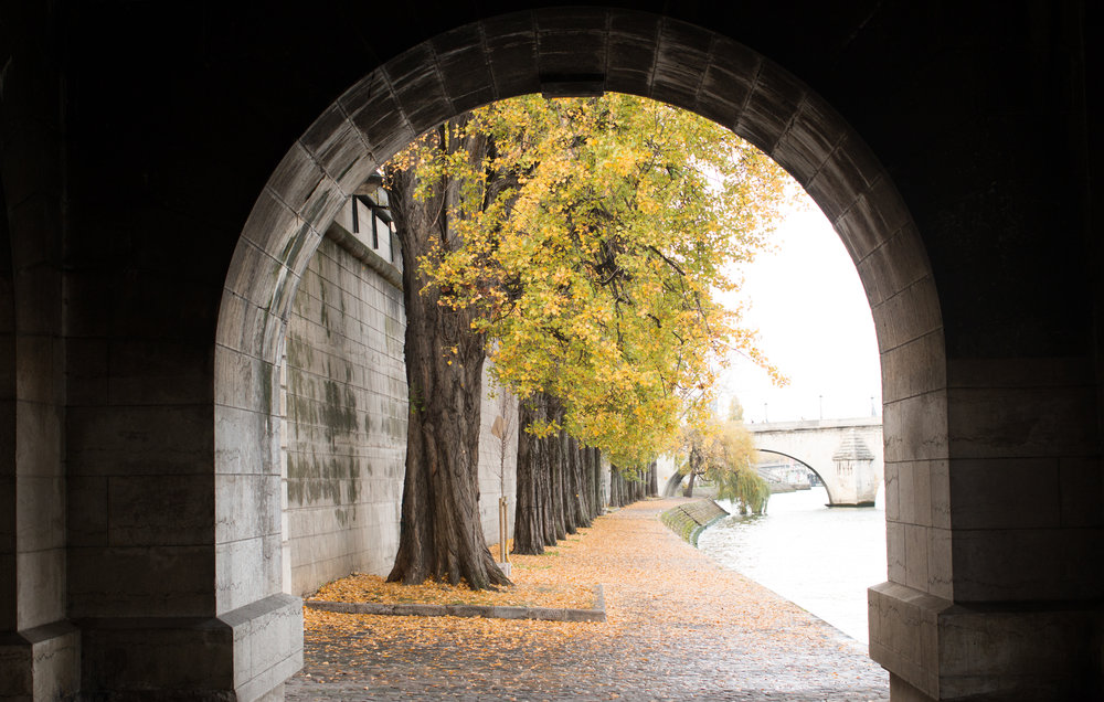 paris autumn on the seine rebecca plotnick