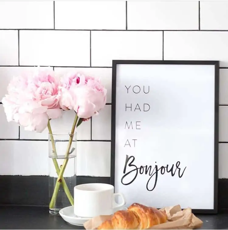 you had me at bonjour by rebecca plotnick