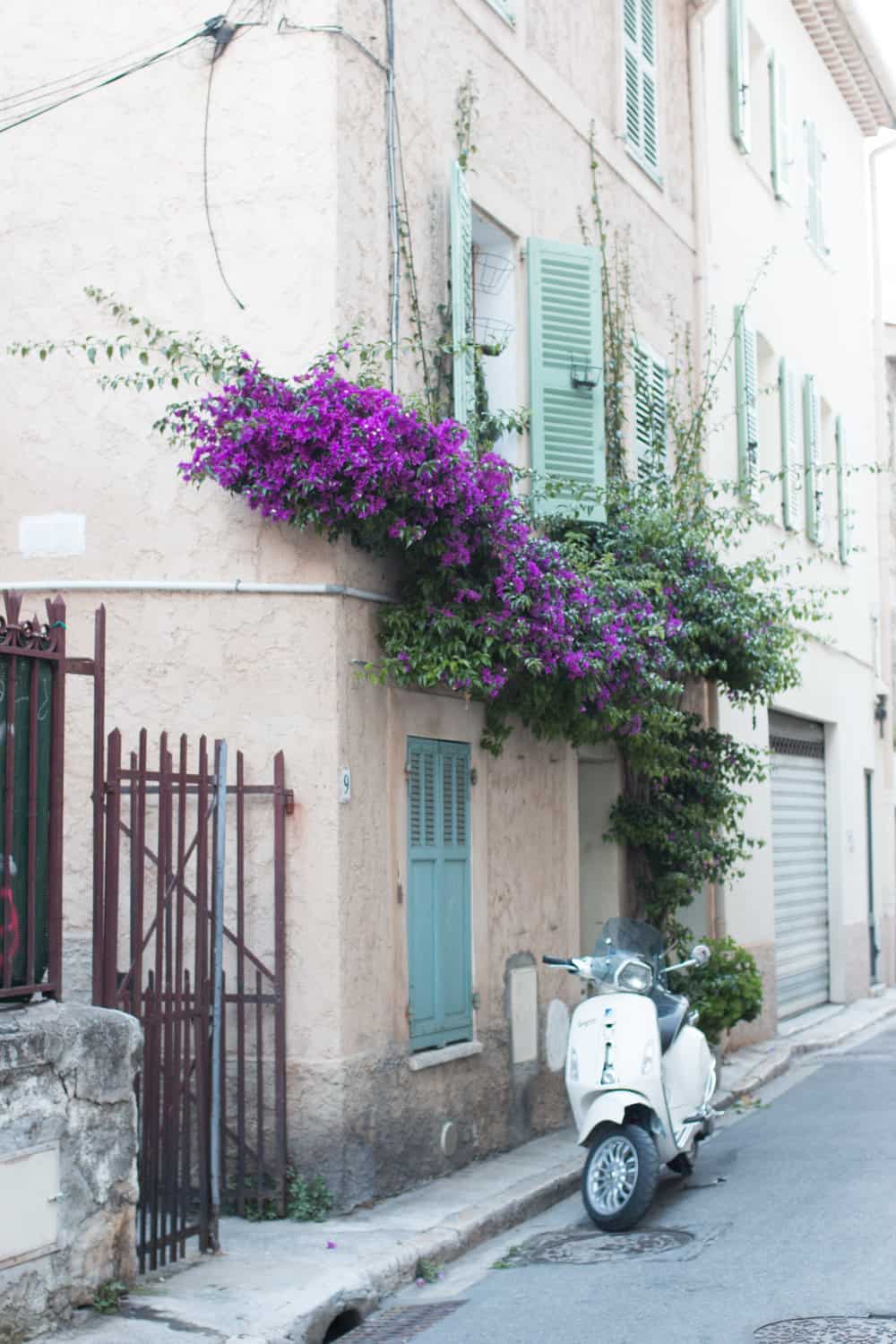 antibes france rebecca plotnick