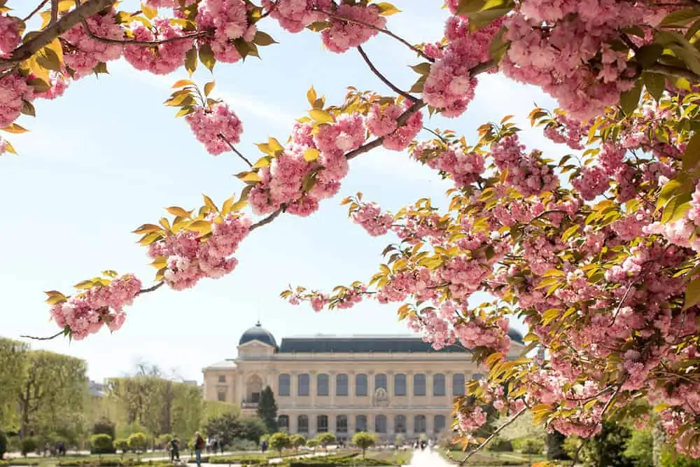 where to picnic in paris