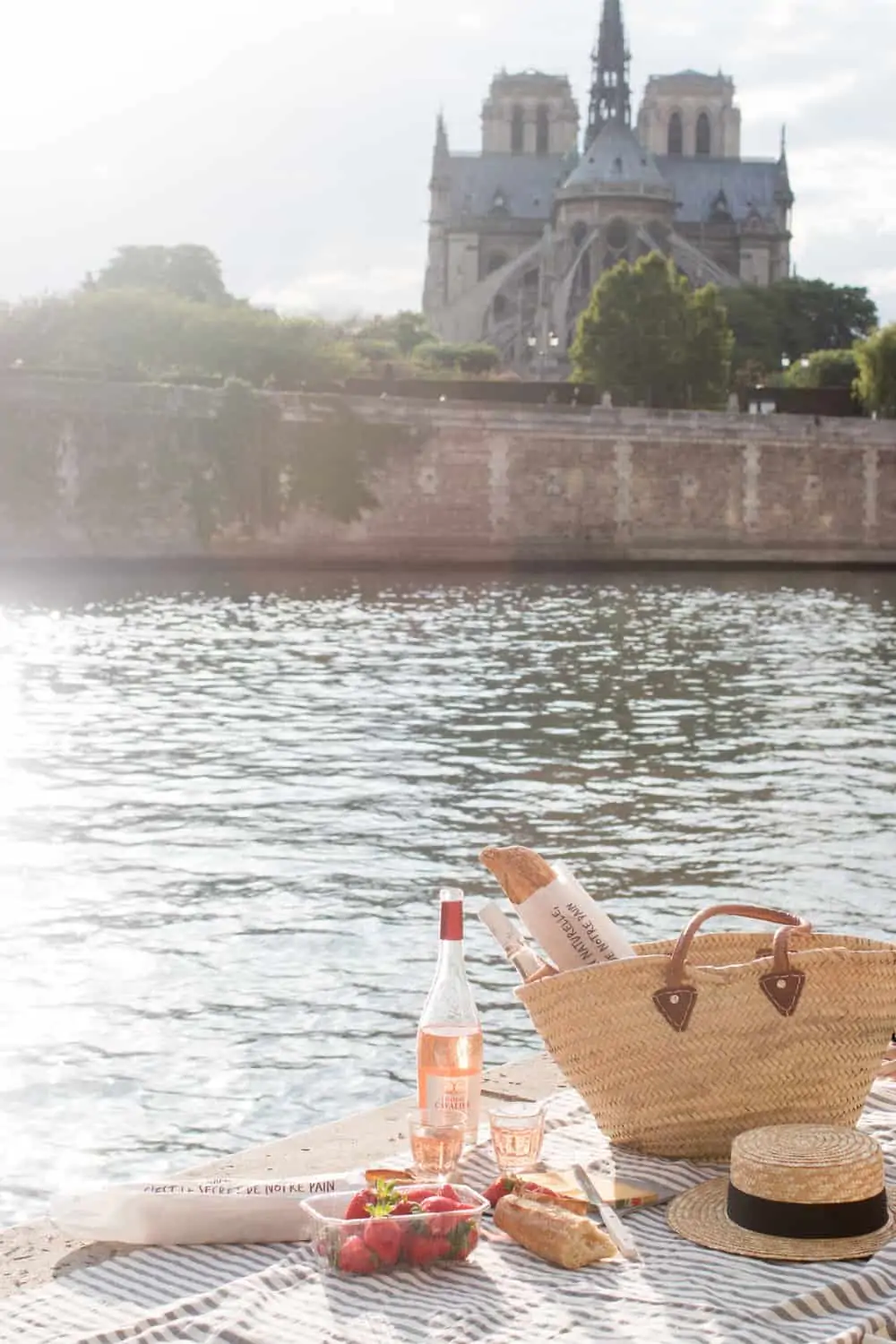 paris picnic on the seine