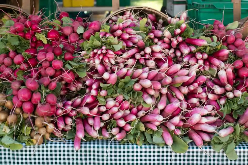 radish market photo rebecca plotnick