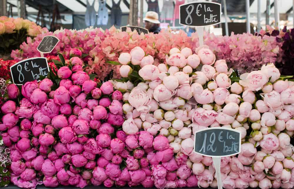 pink peonies at the market in Paris, France by Rebecca Plotnick
