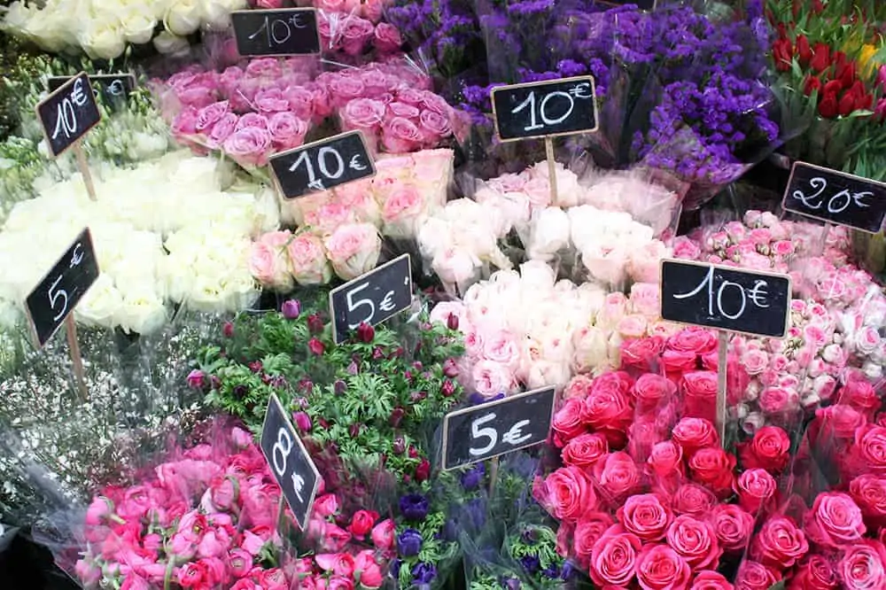 Paris Flowers Pretty in Pink