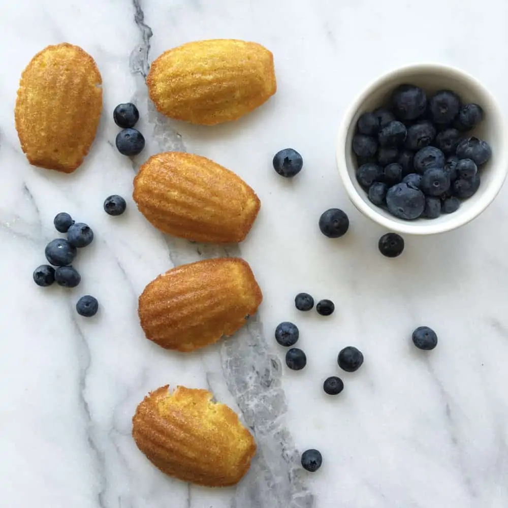 rebecca plotnick madeleines