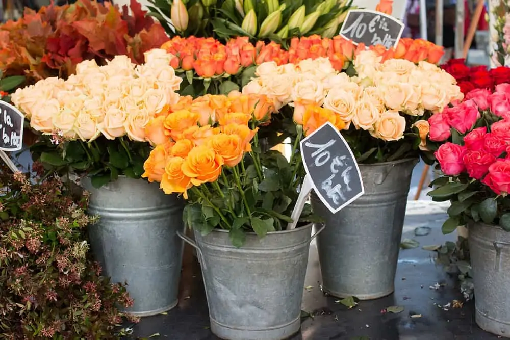 Bastille Market&nbsp;