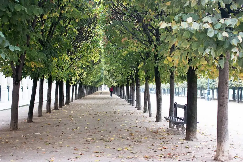 everyday parisian engaged in Paris 