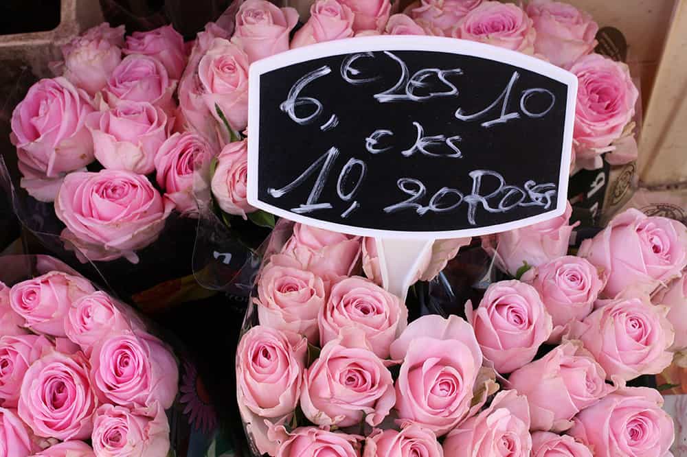 Paris Roses photo by  Rebecca Plotnick