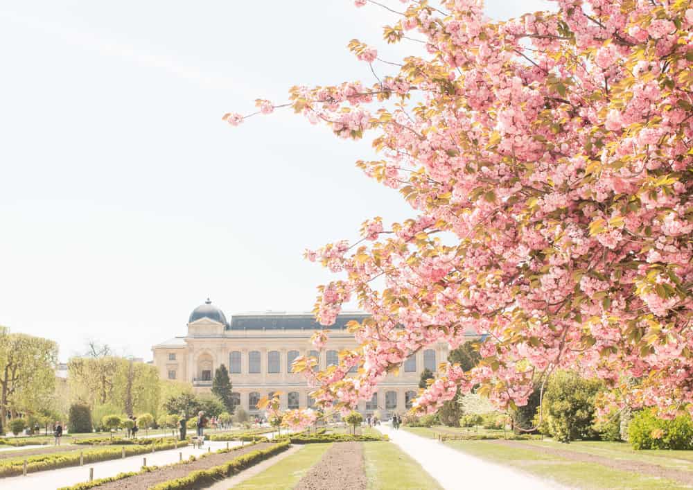 Spring in Paris