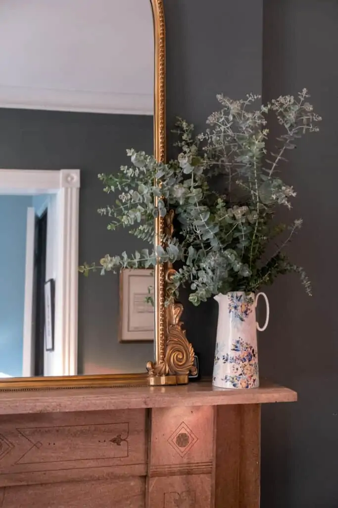 Eucalyptus or Hydrangeas plants to transition your home for fall 