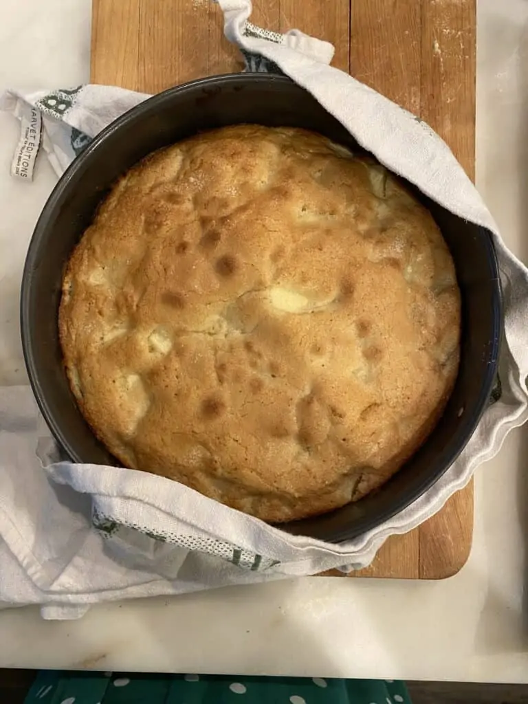 baked dessert in a pan