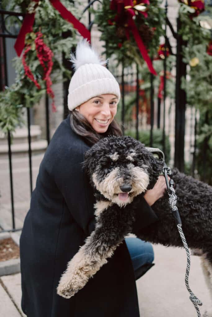 The Best Puppy Training Advice