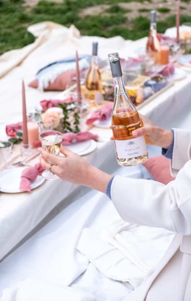 Paris rosé picnic 