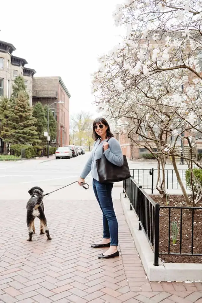 Classic Easy Zipper Tote