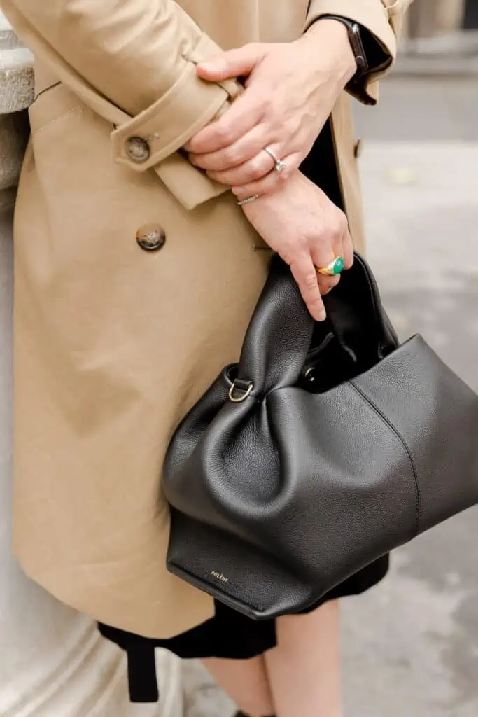 Polène bag 