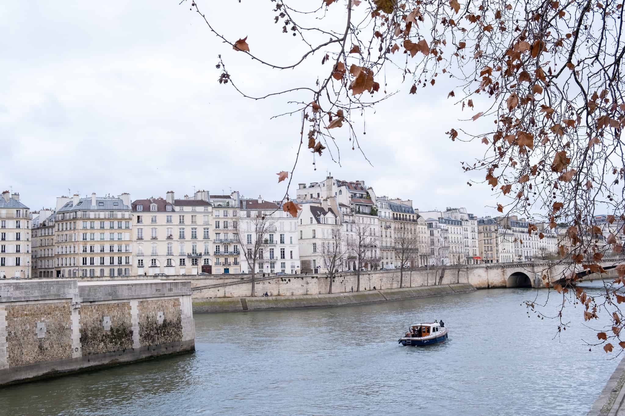 winter on the seine in Paris 