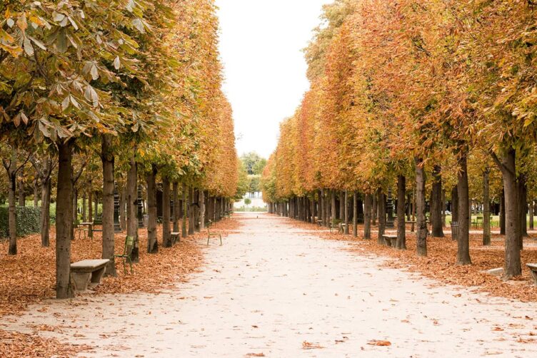 Paris in the fall 
