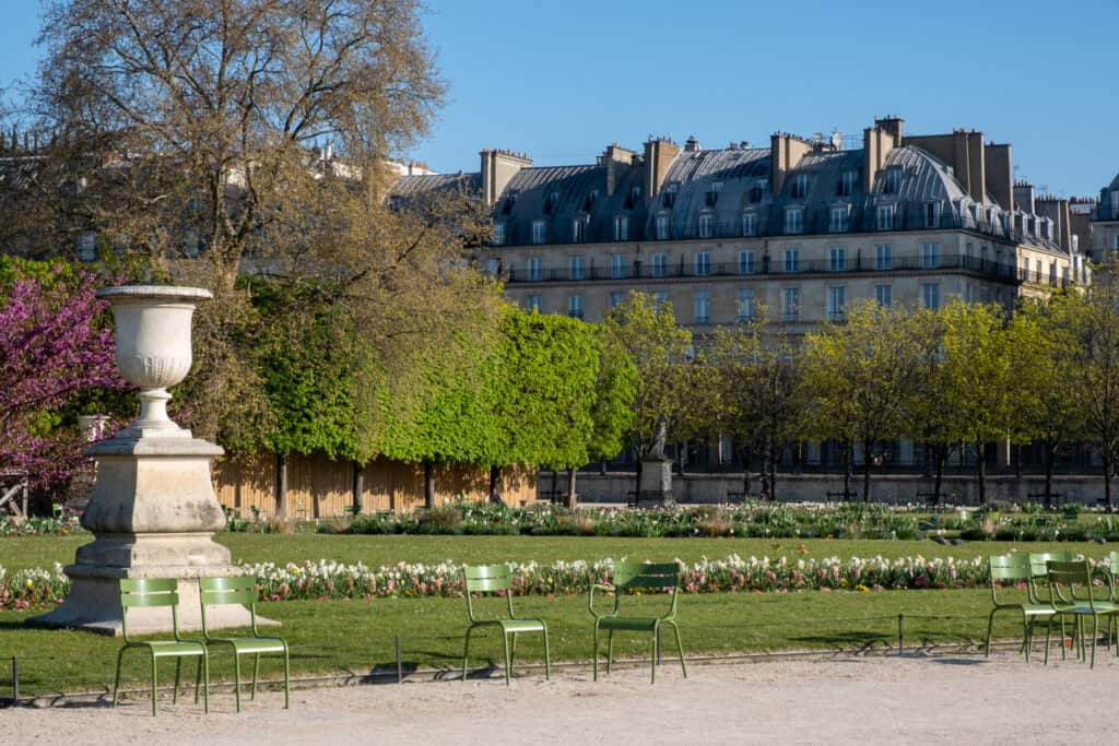 Tuileries garden spring flowers 