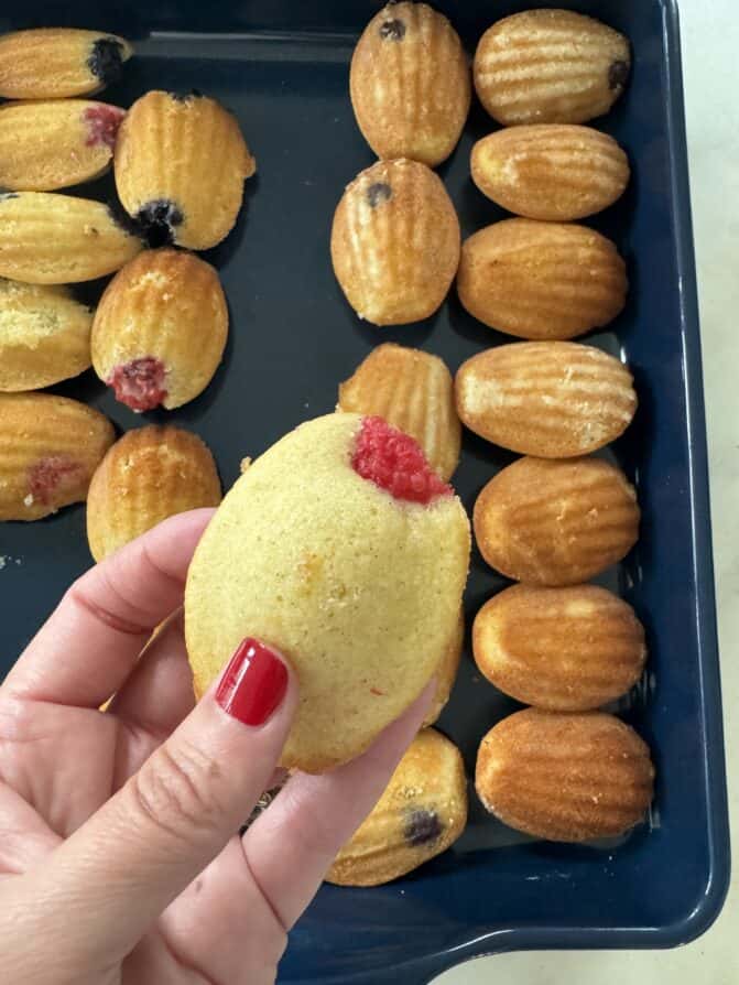 French madeleines with fruit 
