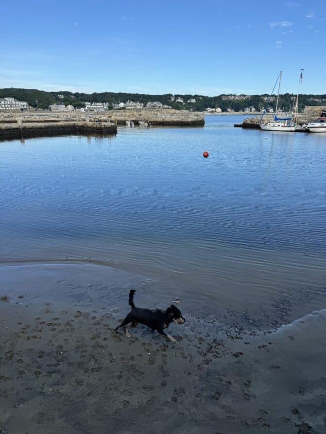 Vacation Henri beach photo 