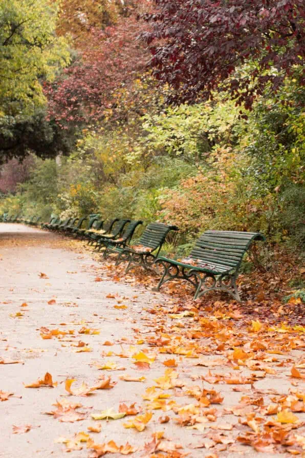 Parc Monceau Paris in the Fall 