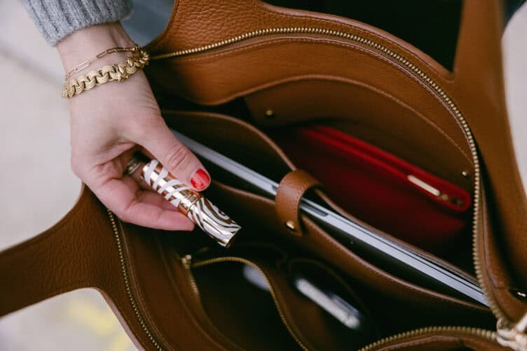 Cuyana Zippered Tote 