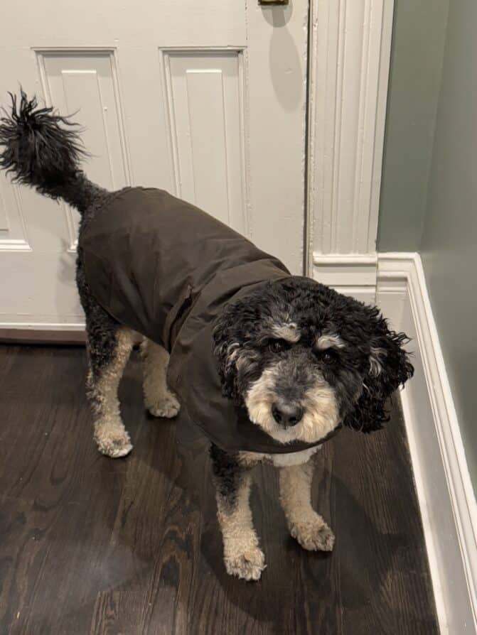 Henri coat 