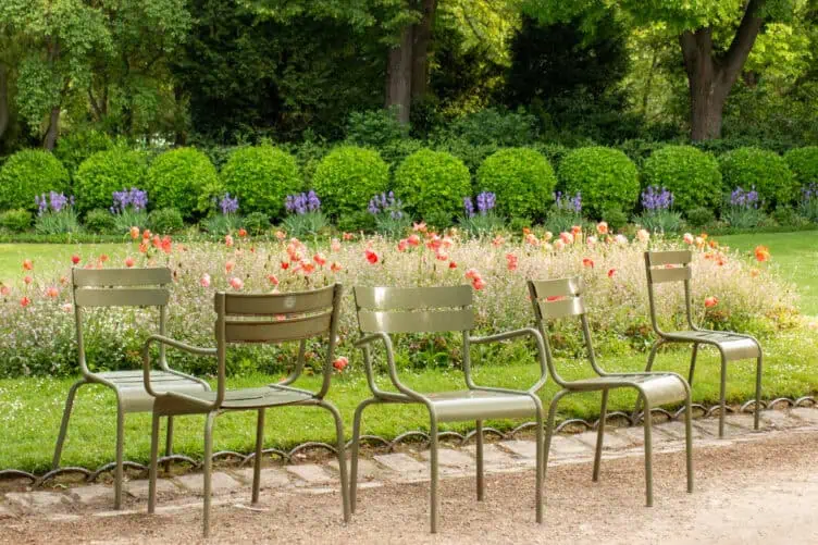 summer poppy fields in Paris 