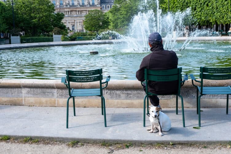 Paris dog of the day