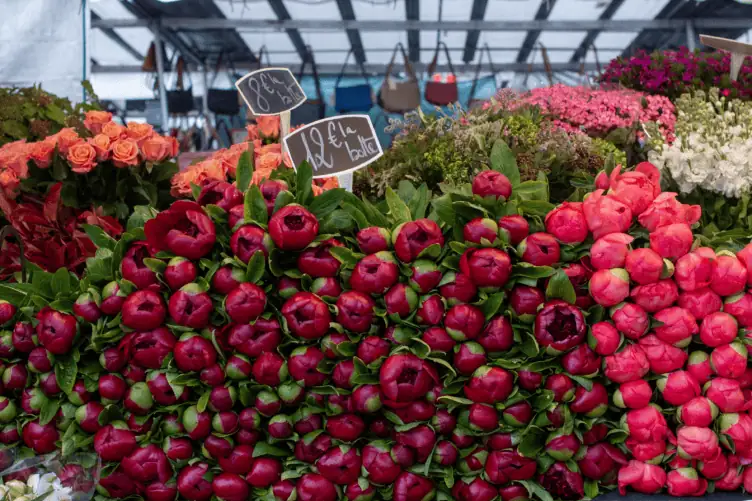stack of peonies at the Bastille market in paris