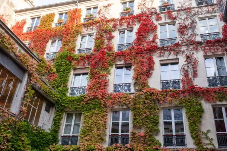 paris in the fall