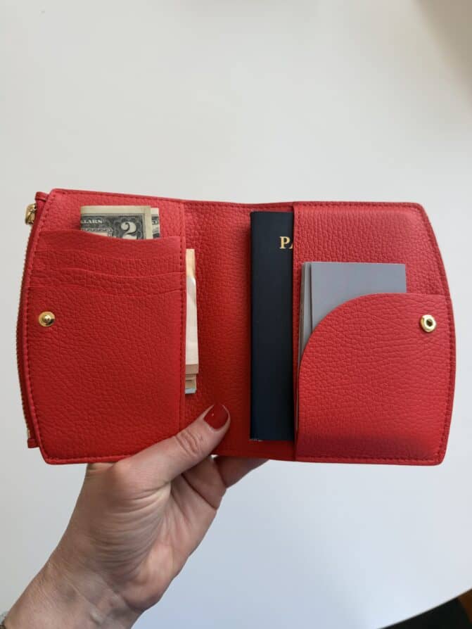 Cuyana passport holder