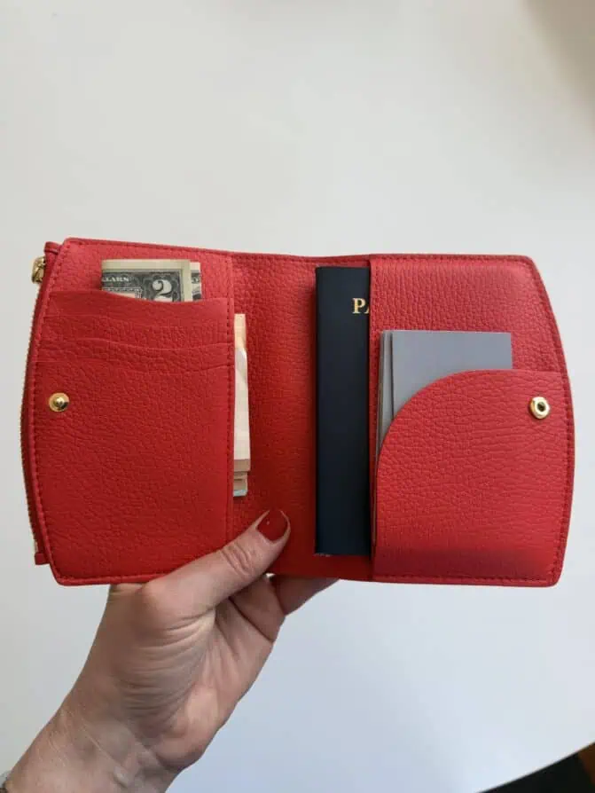 Cuyana passport holder