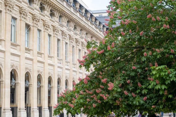 april in Paris