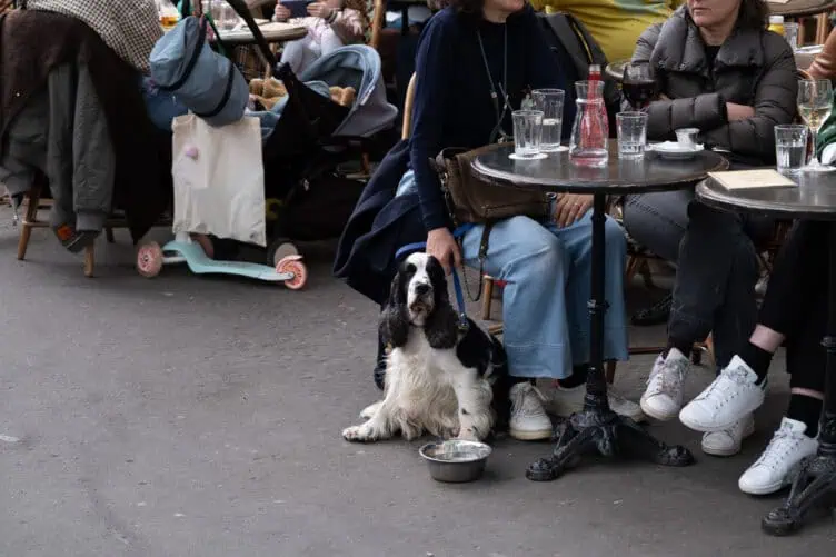 can you wear sneakers in Paris? Parisians wearing white sneakers in Paris