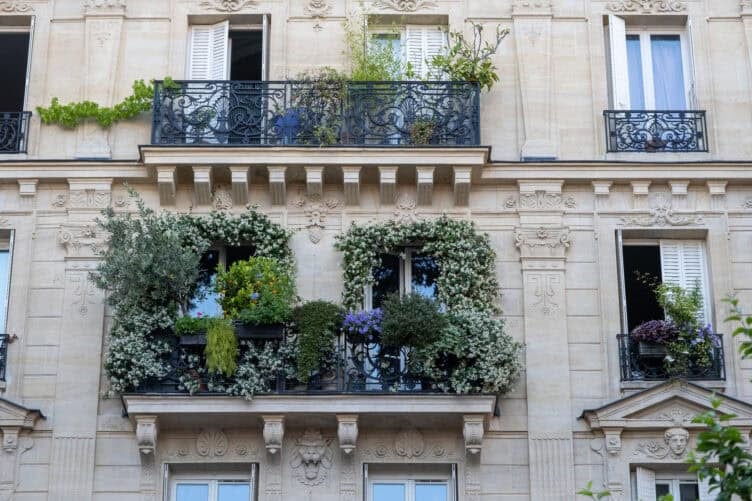 jasmine window Paris 