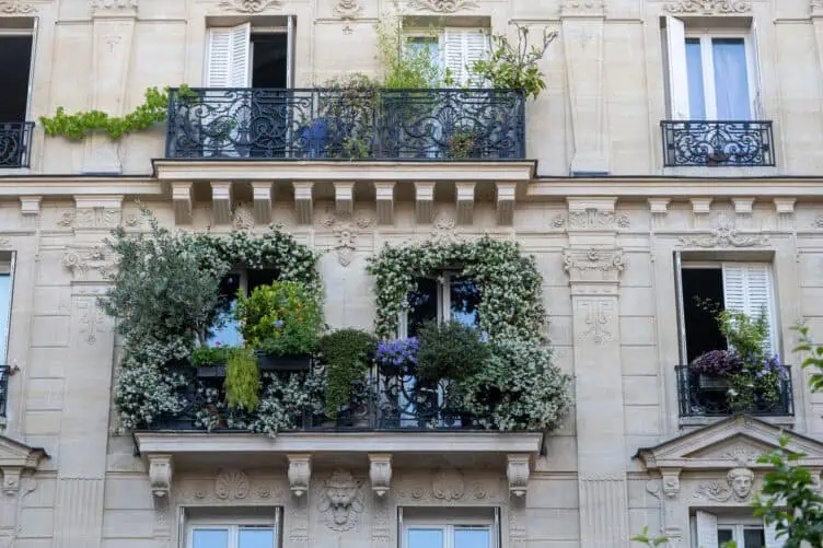 jasmine window Paris