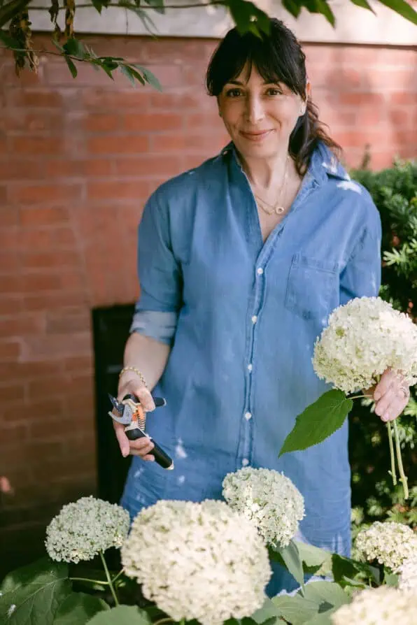 garden Frank and Eileen dress Rebecca Plotnick at home