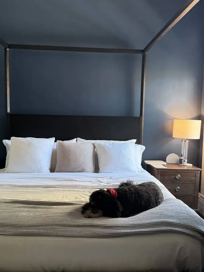 our boll and branch bed